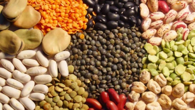 Los mejores alimentos para mejorar la salud intestinal